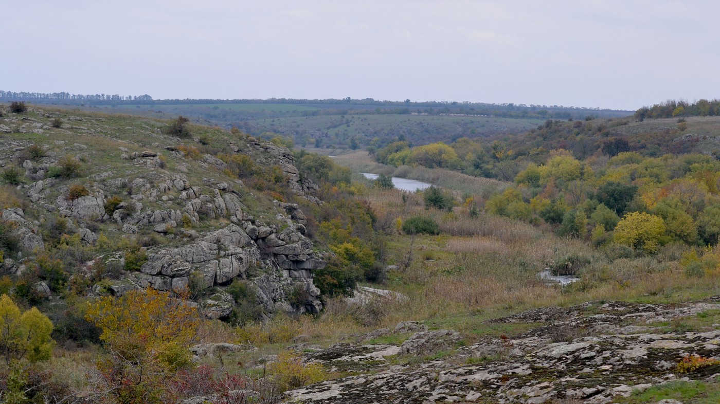 Урочище Монастырище, image of landscape/habitat.