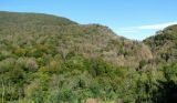 Image of landscape