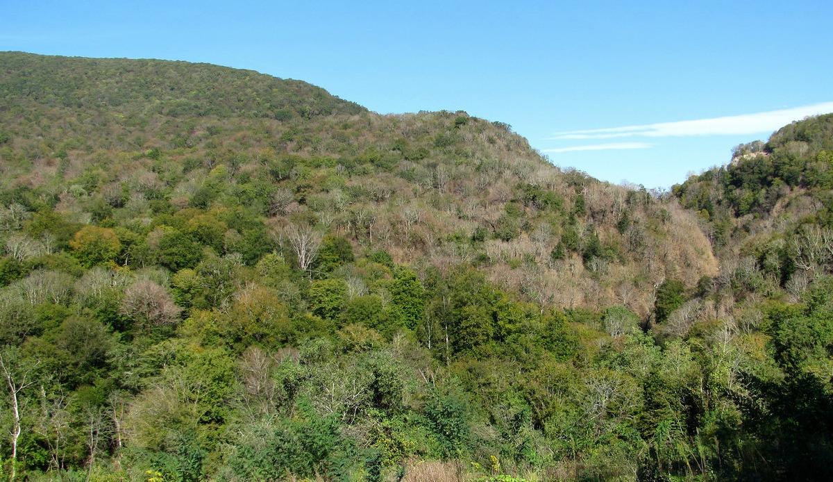 Хоста и окрестности, image of landscape/habitat.