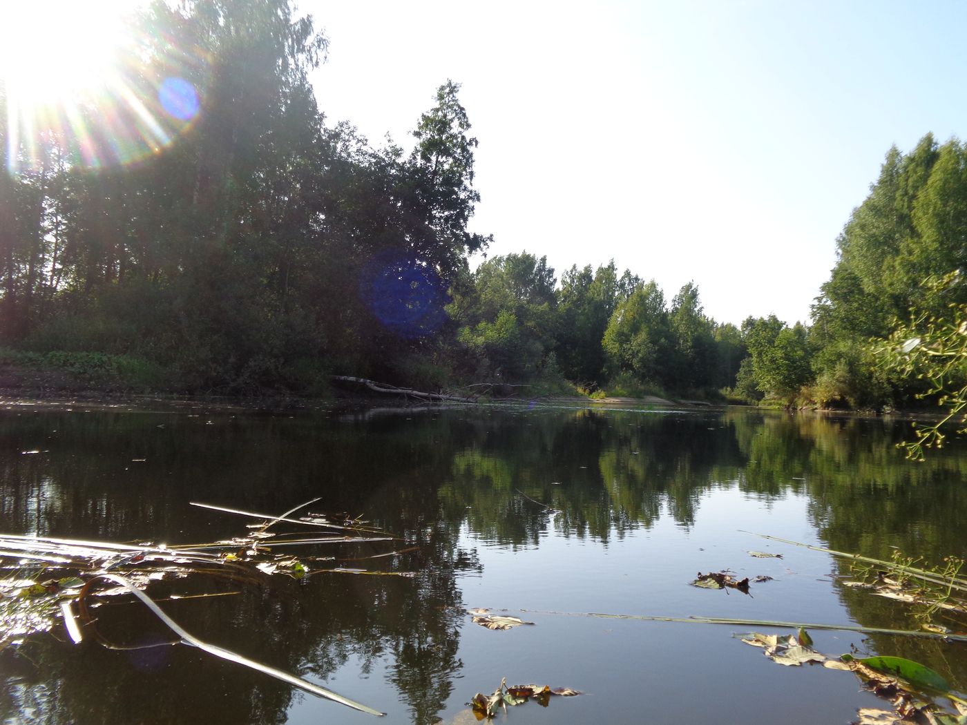 Хутор Спас-Реня, image of landscape/habitat.