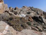 Image of landscape