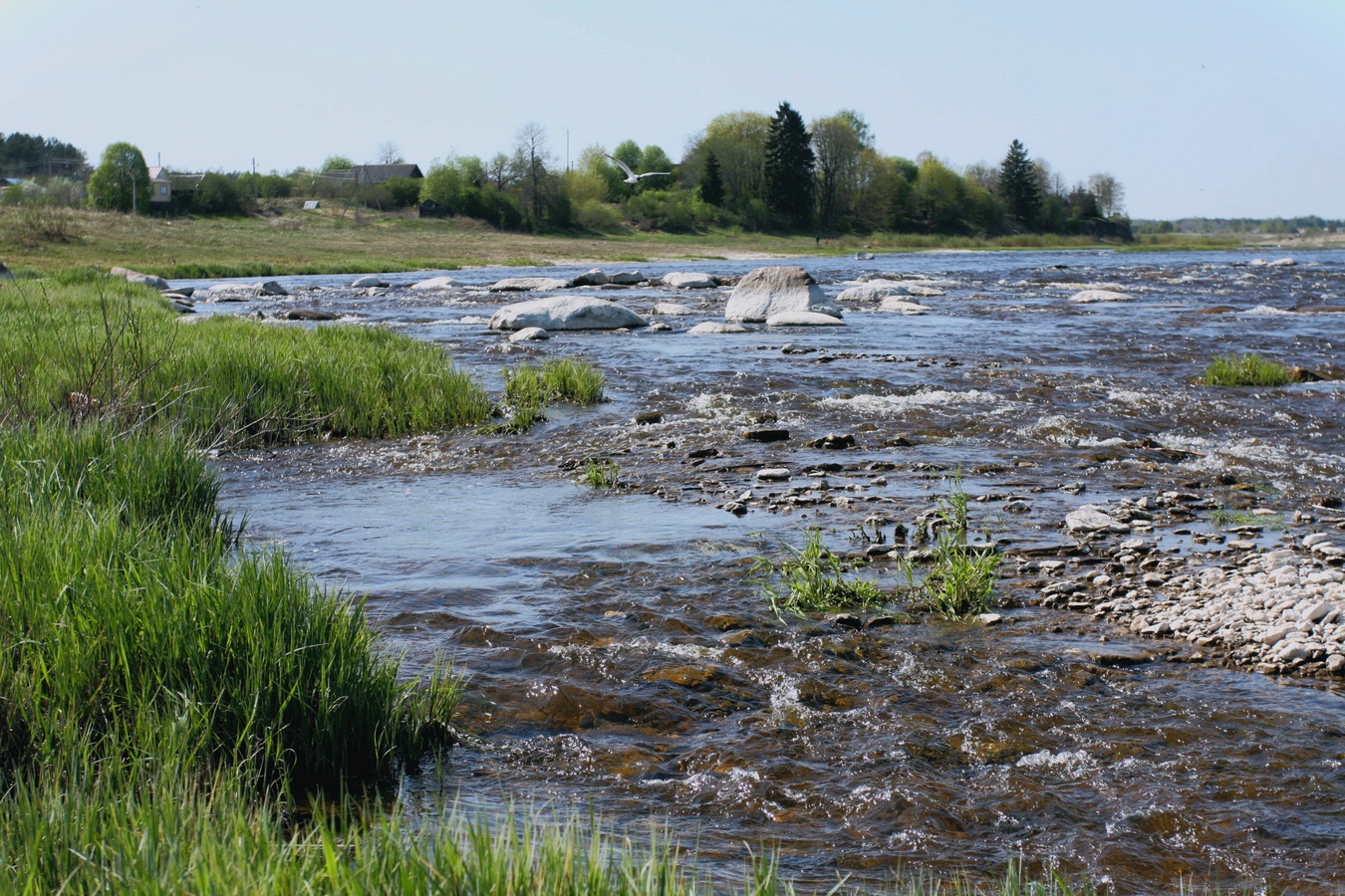 Выбуты, image of landscape/habitat.