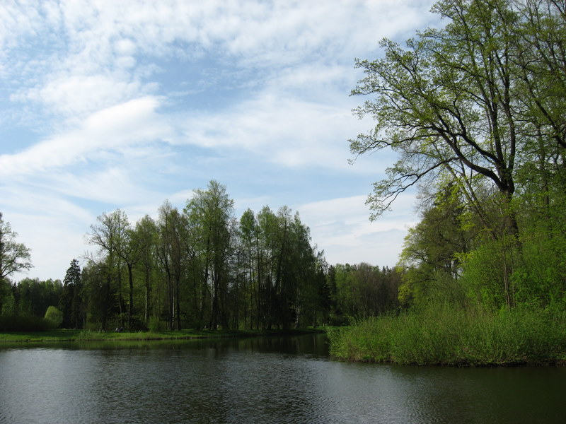 Павловск, image of landscape/habitat.