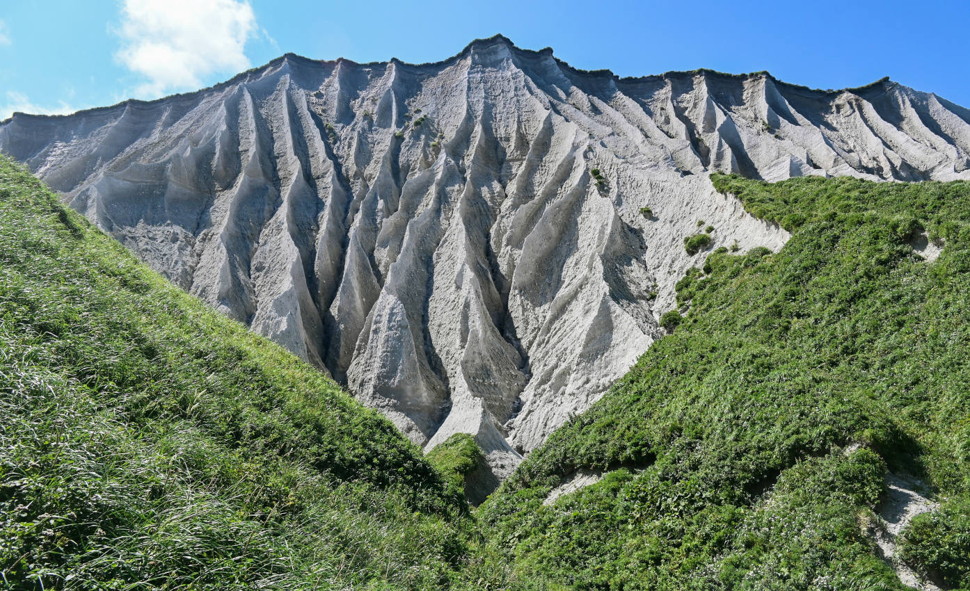 Белые скалы, image of landscape/habitat.