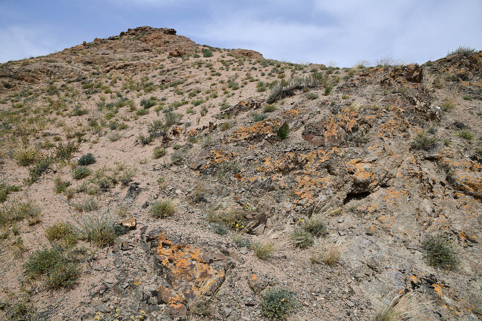 Чарын, image of landscape/habitat.