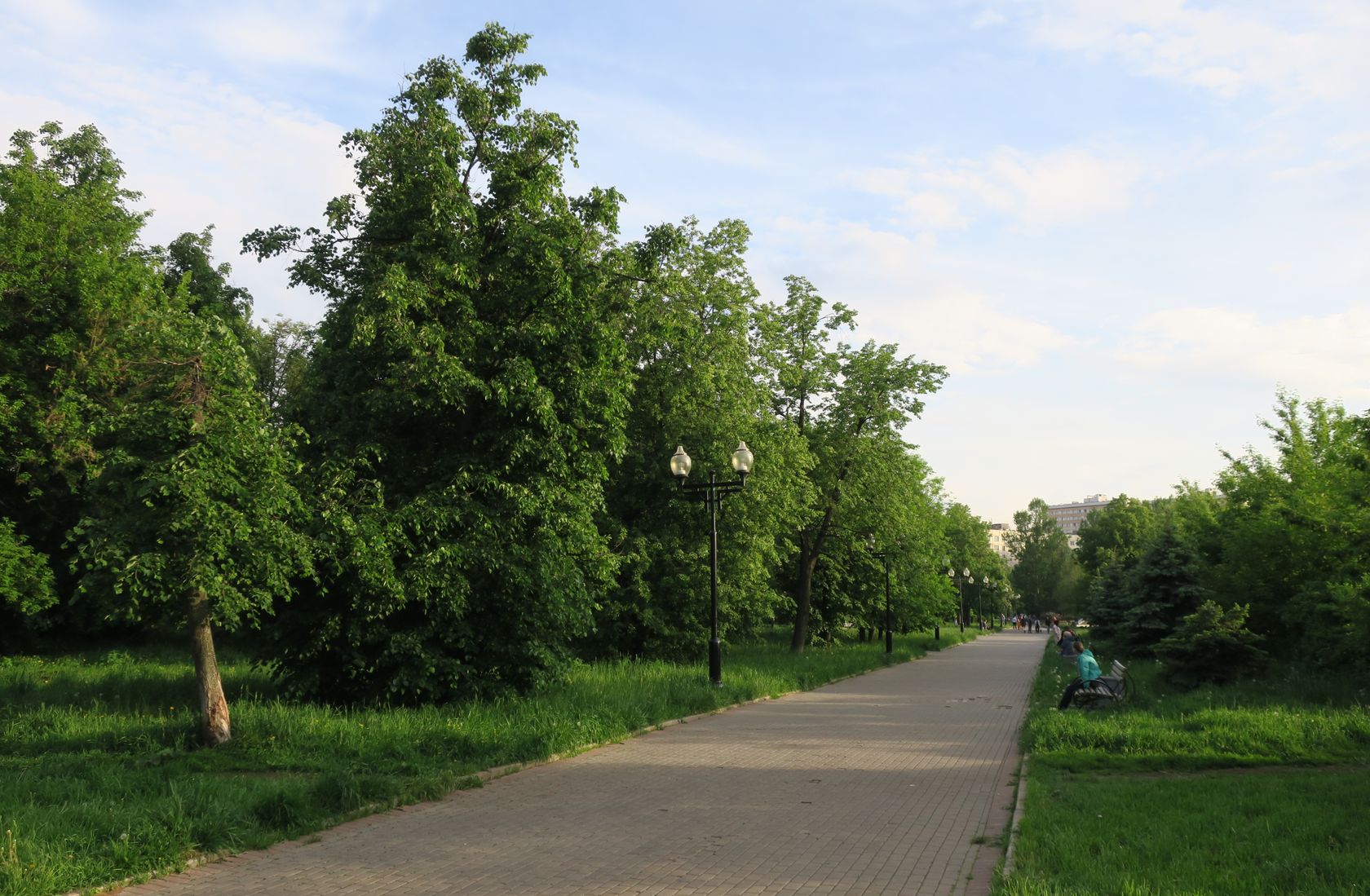 Перово (местность), image of landscape/habitat.