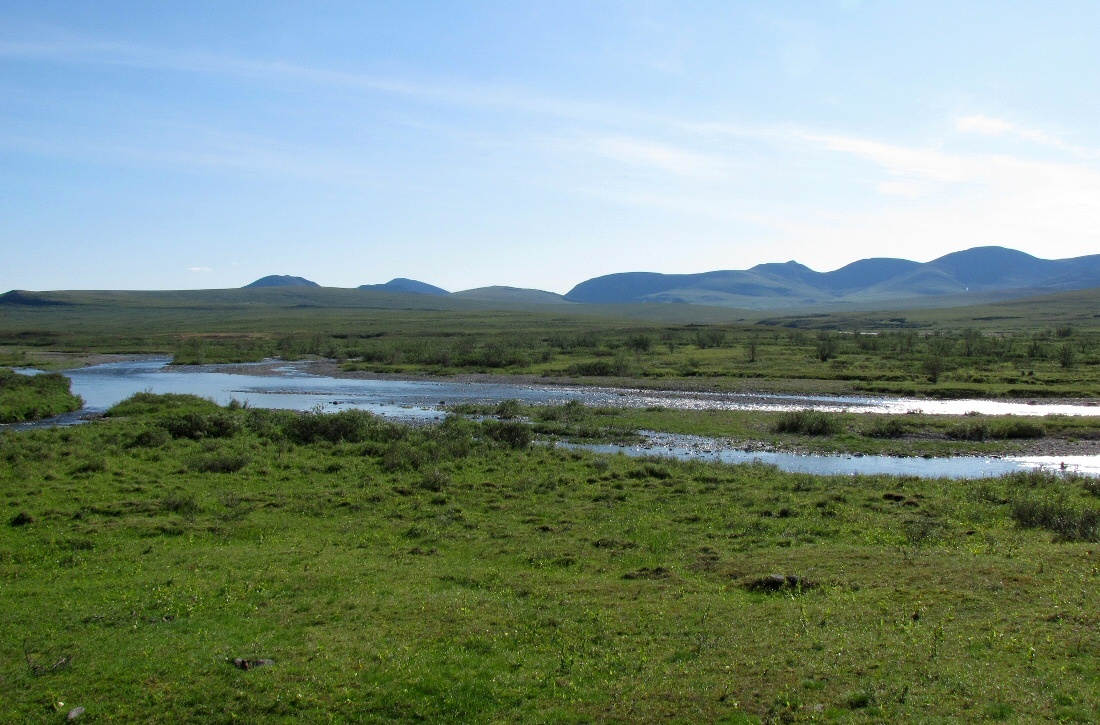 Верховья Большой Пайпудыны, image of landscape/habitat.