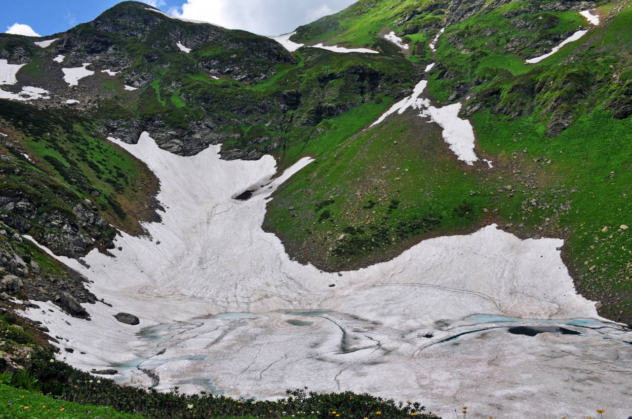 Гора Чха, image of landscape/habitat.