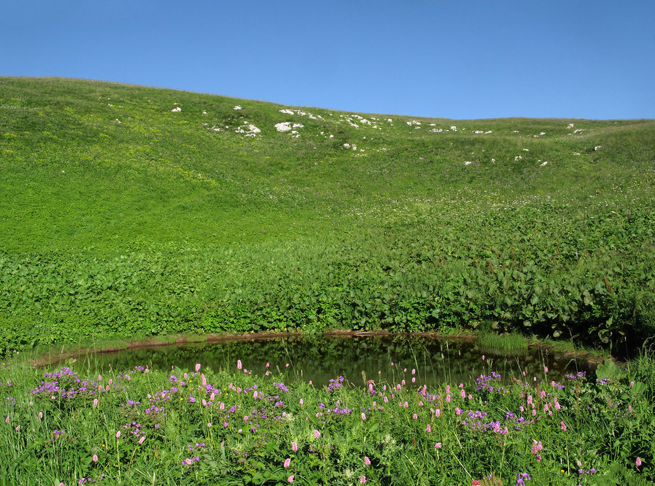 Оштен, image of landscape/habitat.