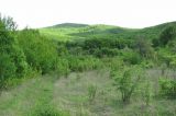 Холмская, image of landscape/habitat.
