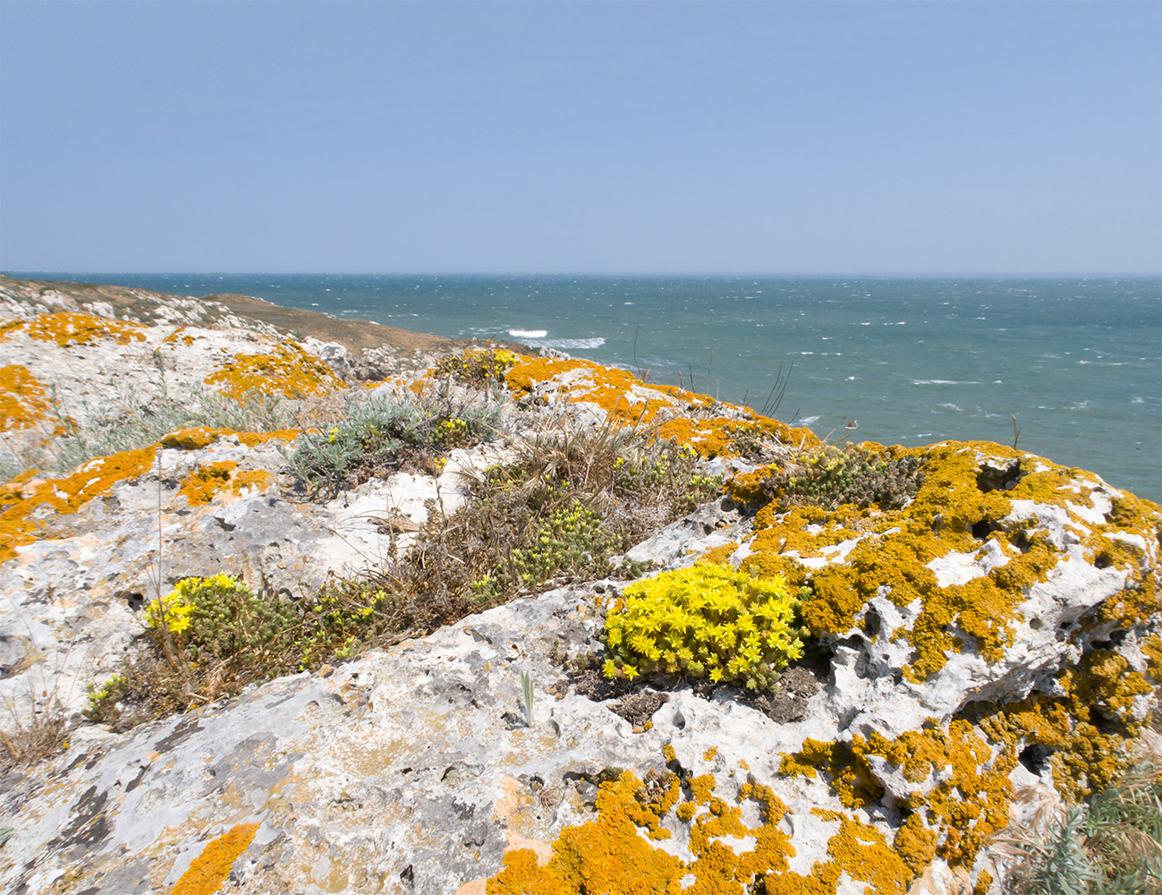 Казантип, image of landscape/habitat.