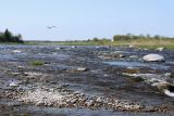 Image of landscape