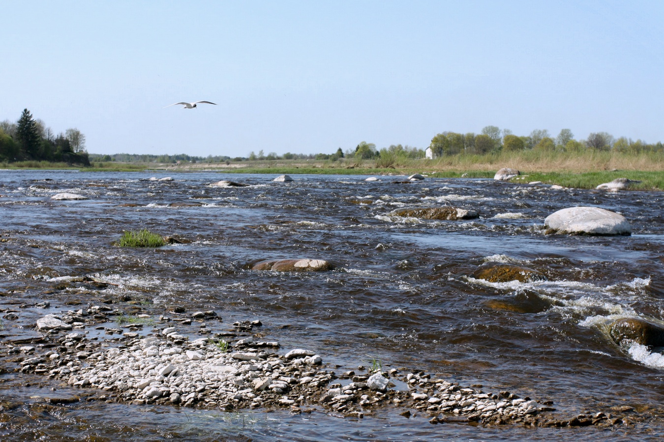 Выбуты, image of landscape/habitat.