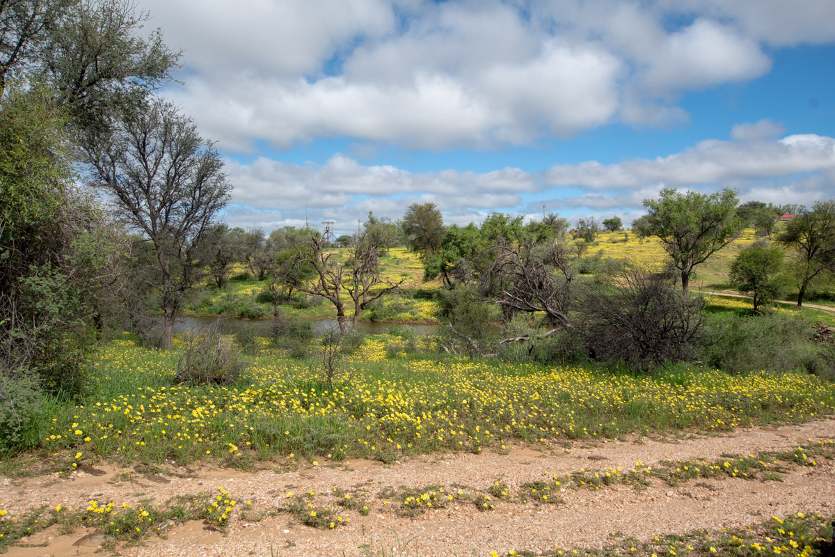 Кхомас, image of landscape/habitat.