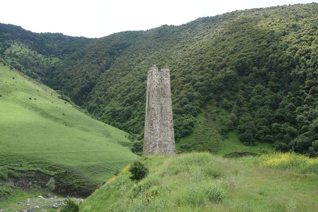 Бялган, image of landscape/habitat.