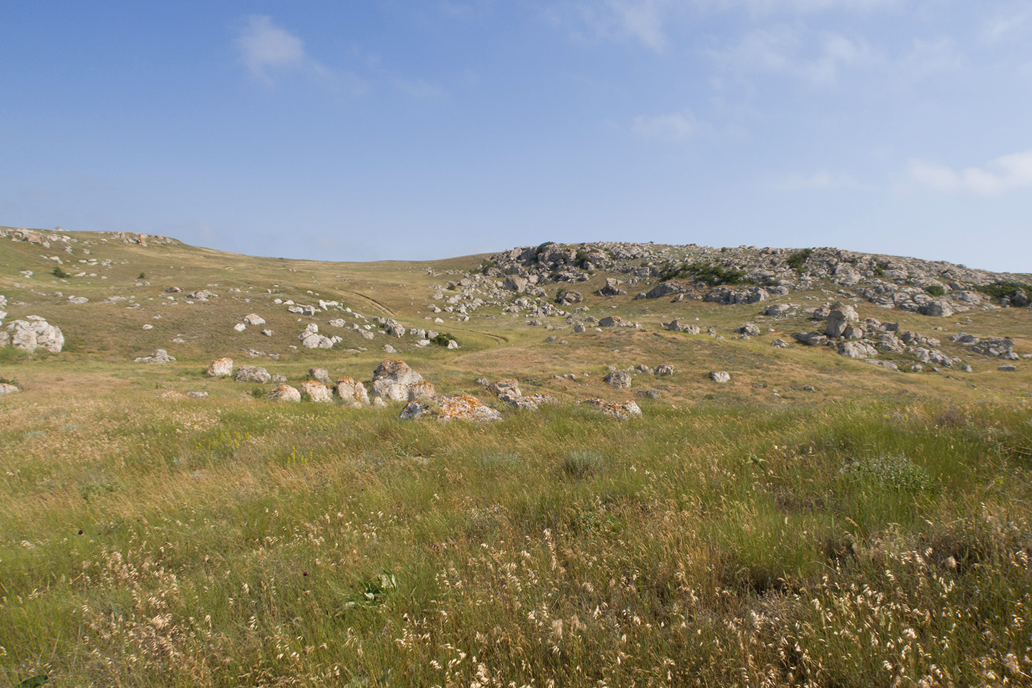 Казантип, image of landscape/habitat.
