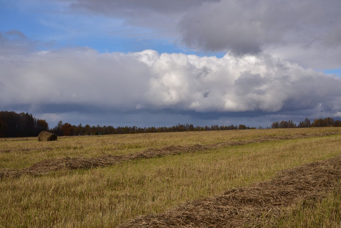 Окрестности деревни Чёлохово, изображение ландшафта.
