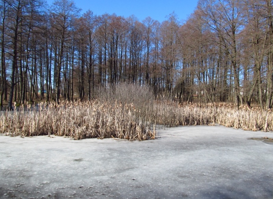 Новогрудок, image of landscape/habitat.