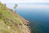 Image of landscape