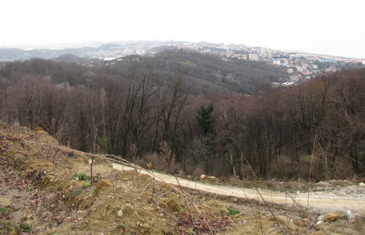 Адлер и окрестности, image of landscape/habitat.