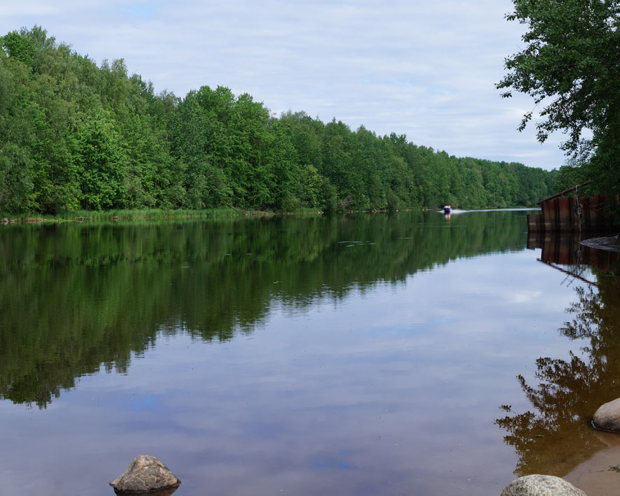 Окрестности садоводства Восход, image of landscape/habitat.