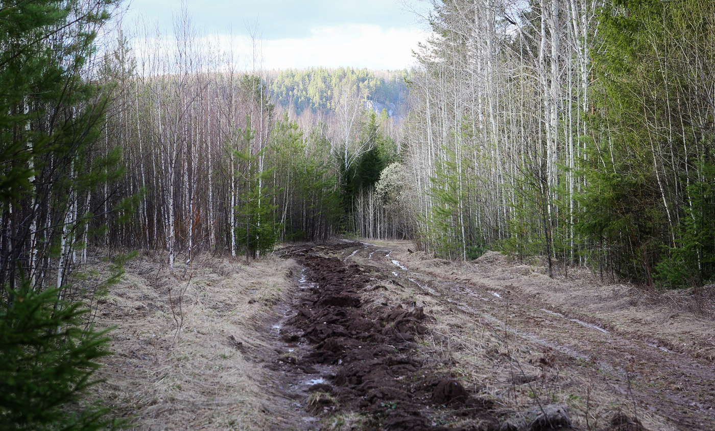 Кын и его окрестности, image of landscape/habitat.