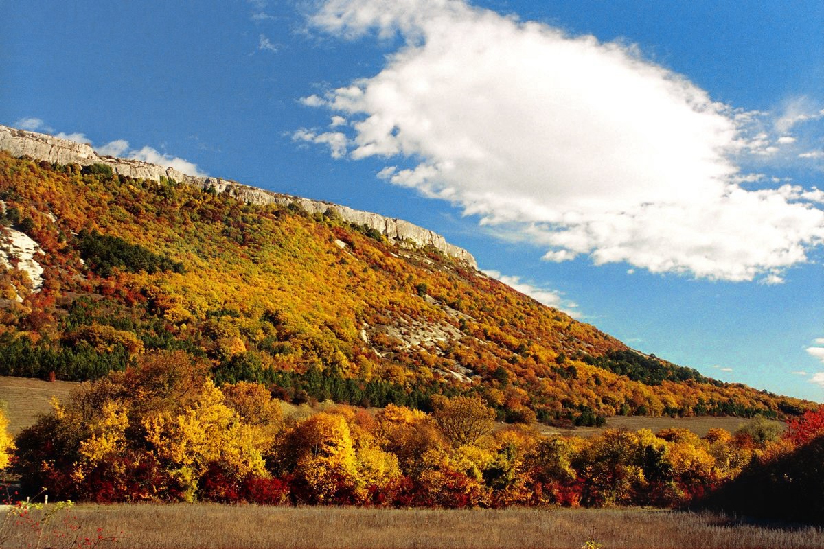Адым-Чокракская долина, image of landscape/habitat.
