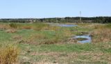 Image of landscape