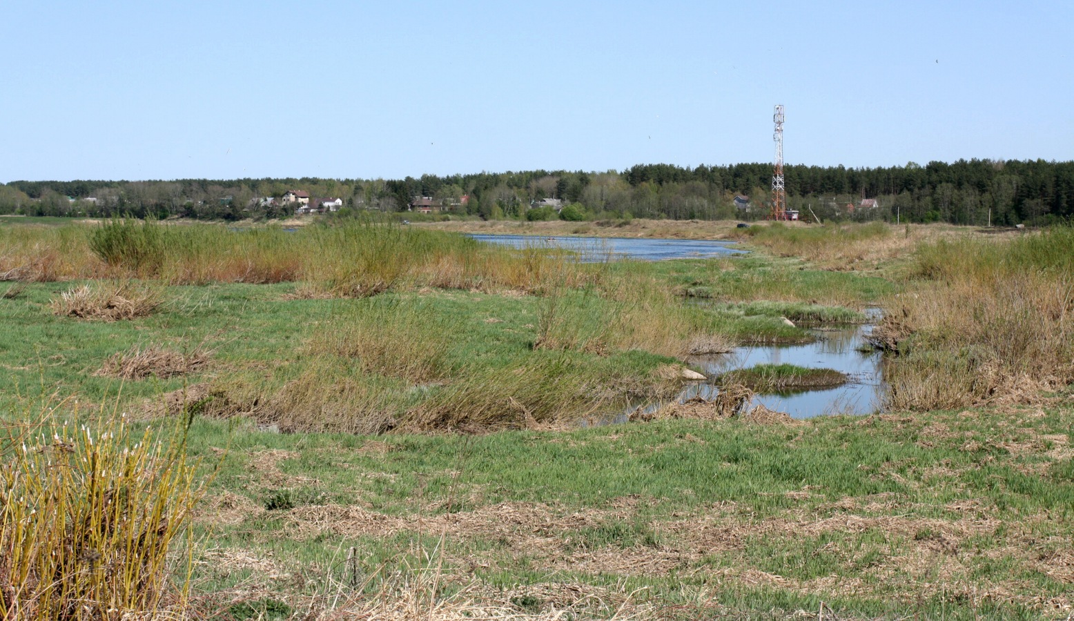 Выбуты, image of landscape/habitat.