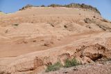 Image of landscape