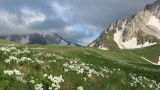 Пшехо-Су, image of landscape/habitat.