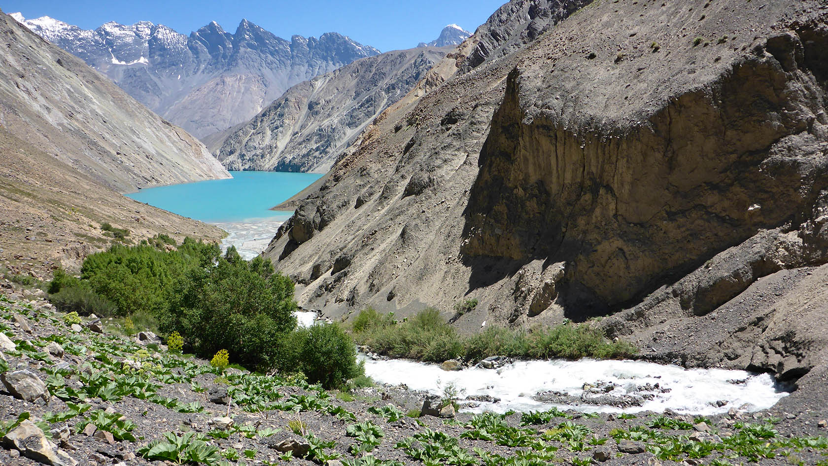 Шадау, image of landscape/habitat.