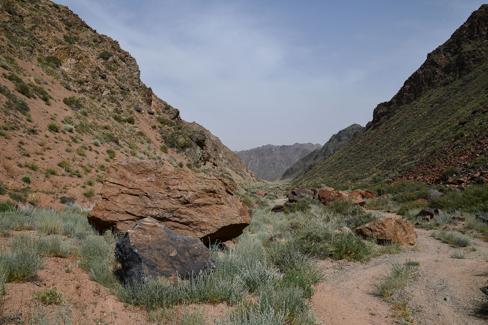 Чарын, image of landscape/habitat.