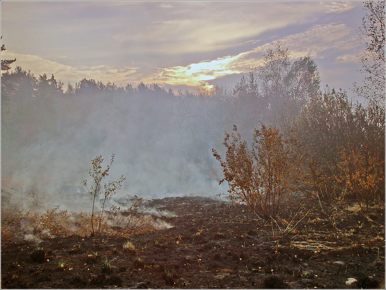 Окрестности Хрипани, image of landscape/habitat.