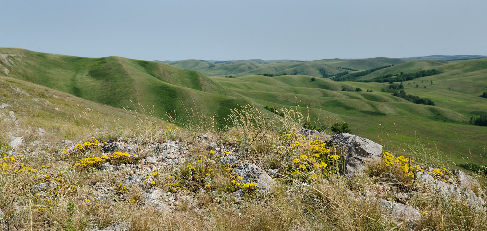 Султанбаево, image of landscape/habitat.