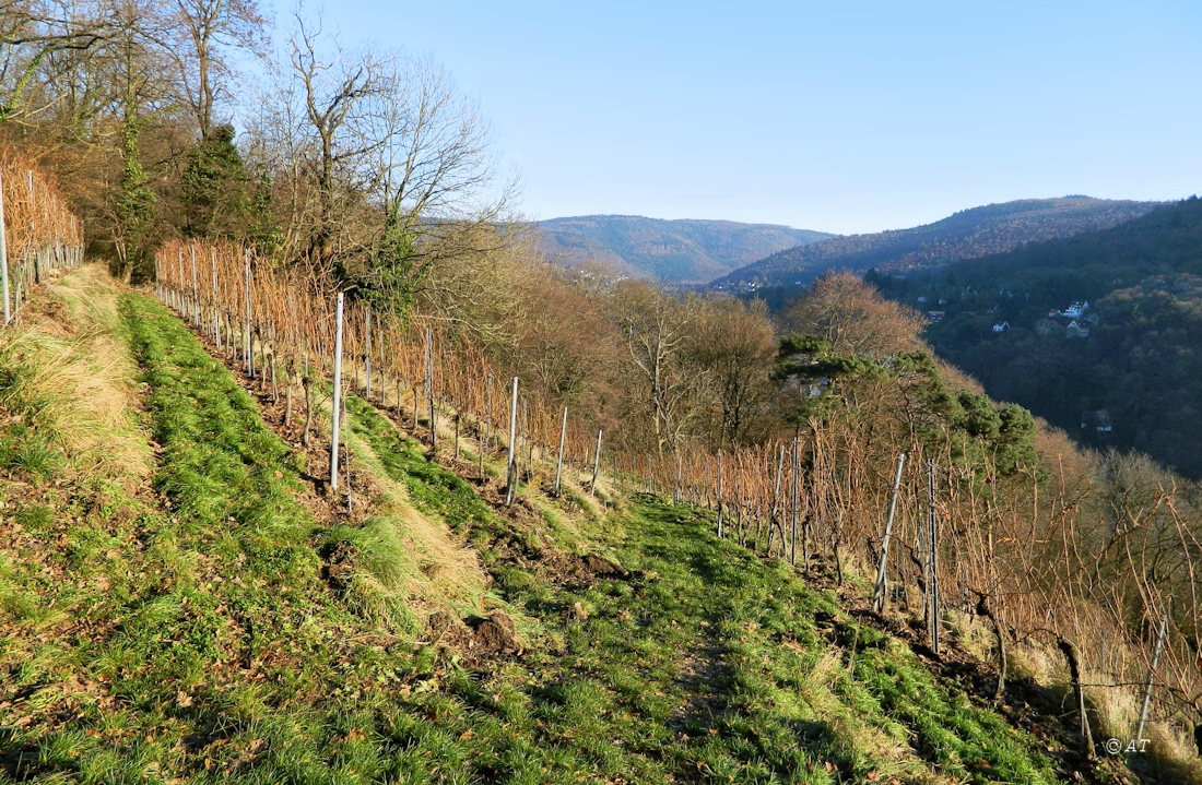 Гейдельберг (Хайдельберг), image of landscape/habitat.