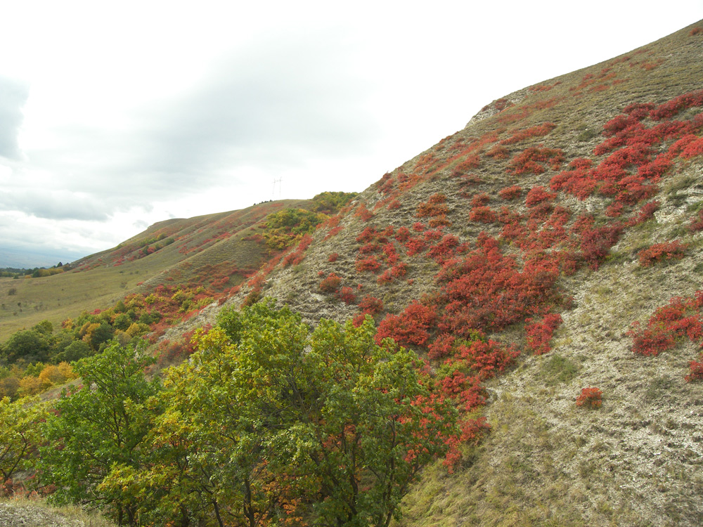 Боргустанский хребет, изображение ландшафта.