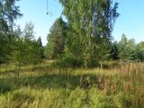 Хутор Спас-Реня, image of landscape/habitat.