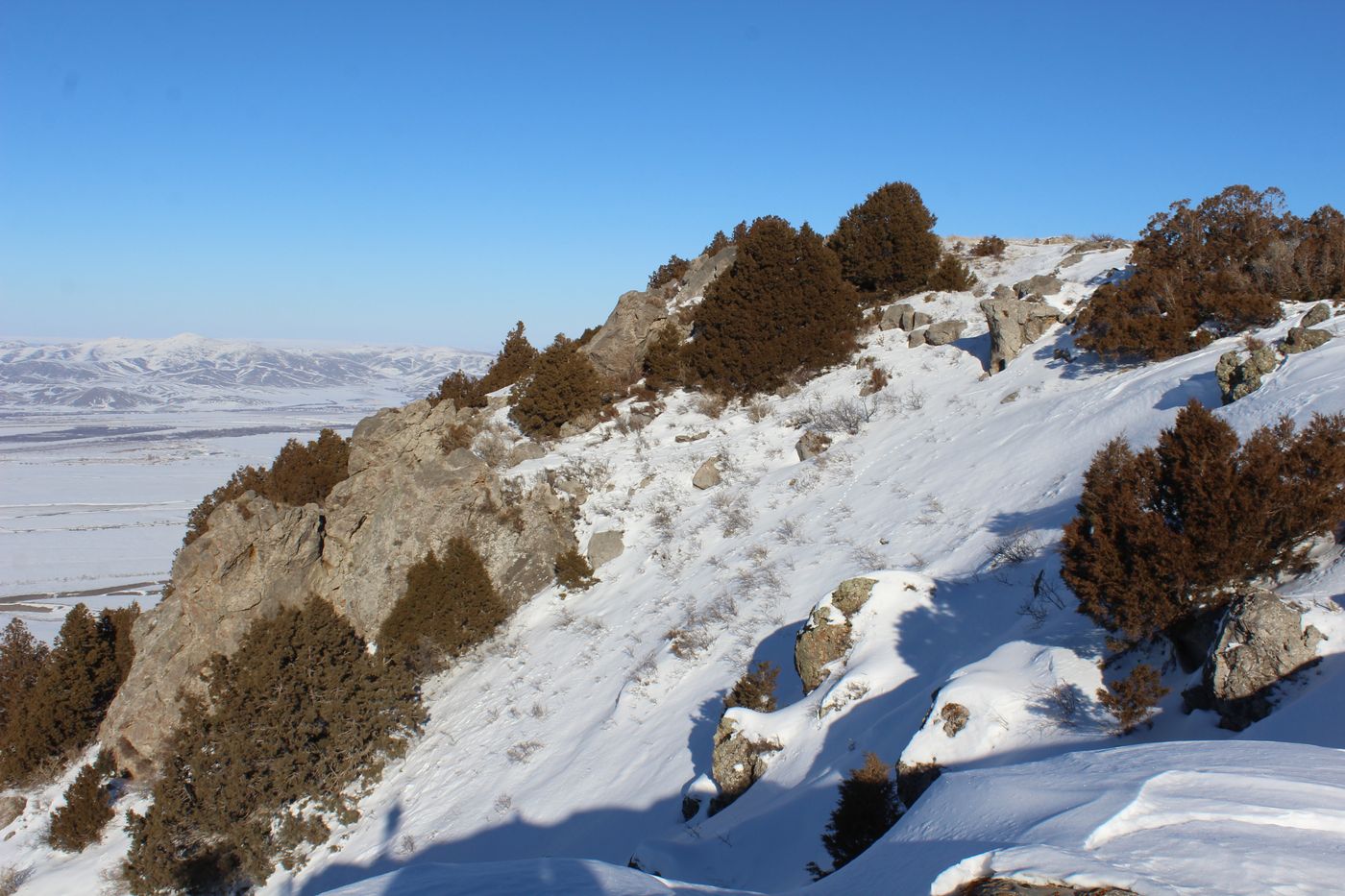 Окрестности с. Жабаглы, image of landscape/habitat.