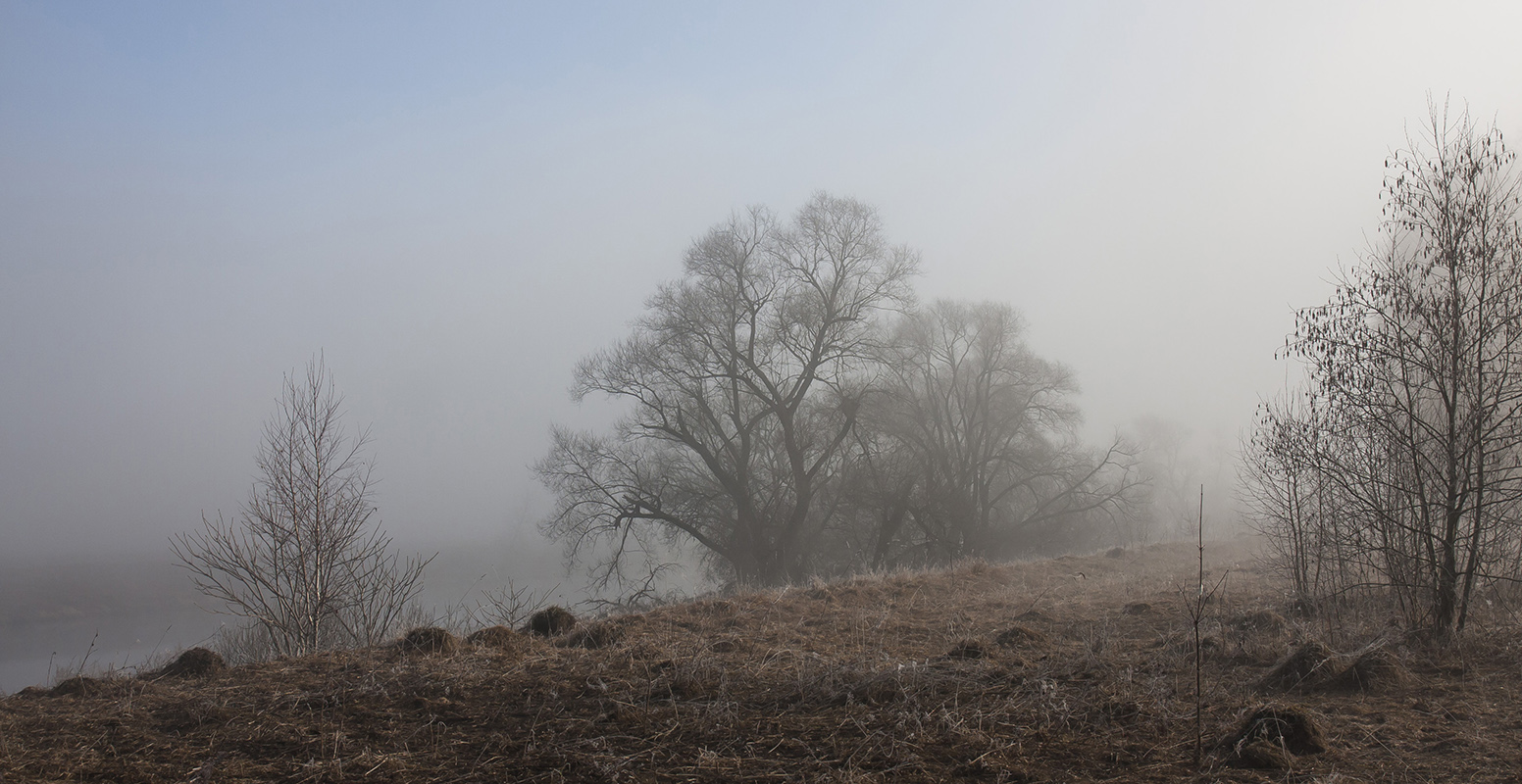 Звенигородская биостанция МГУ, image of landscape/habitat.