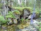 Долина реки Тушканчик, image of landscape/habitat.