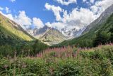 Альплагерь "Чегем", image of landscape/habitat.