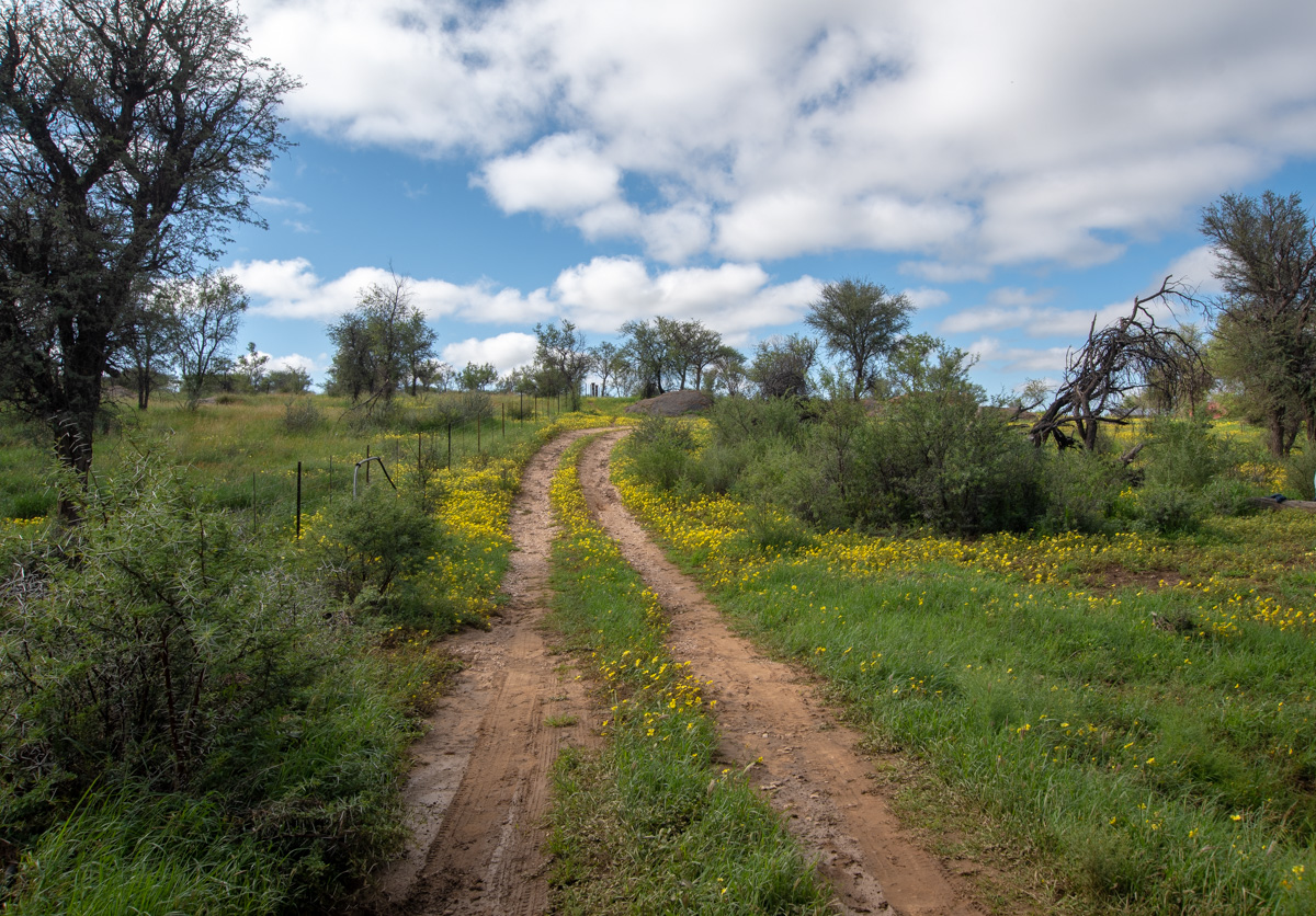 Кхомас, image of landscape/habitat.