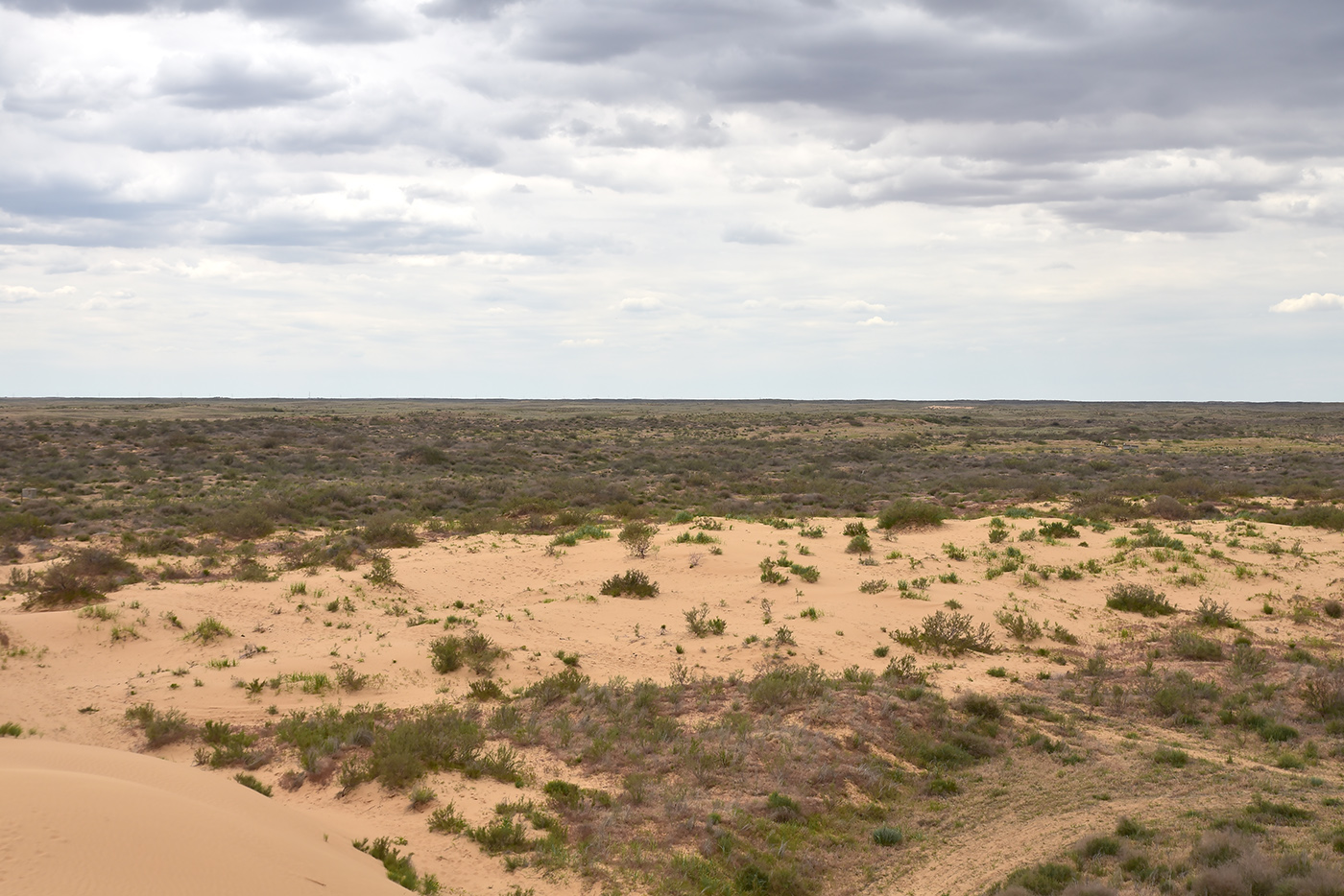 Бархан Большой Брат, image of landscape/habitat.