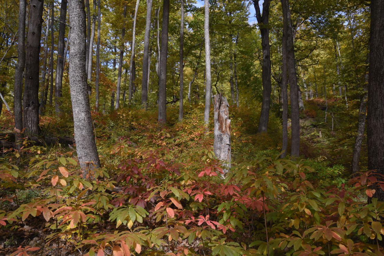 Скала Окно в Европу, изображение ландшафта.