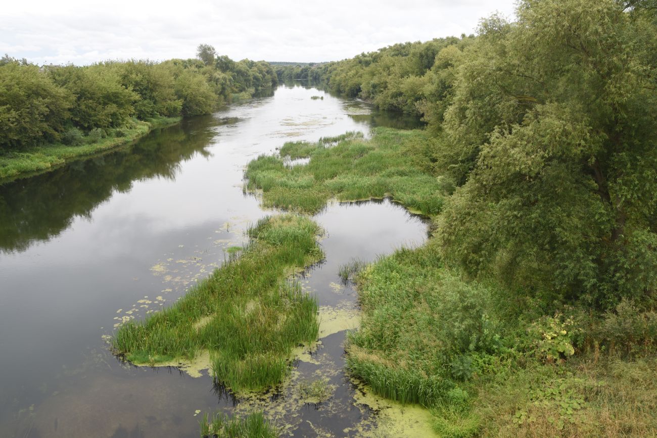 Данков, image of landscape/habitat.