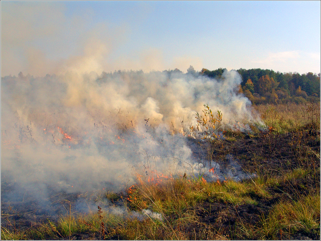 Окрестности Хрипани, image of landscape/habitat.