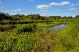 Долина реки Поля, image of landscape/habitat.