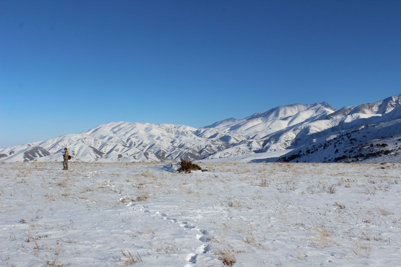 Окрестности с. Жабаглы, image of landscape/habitat.