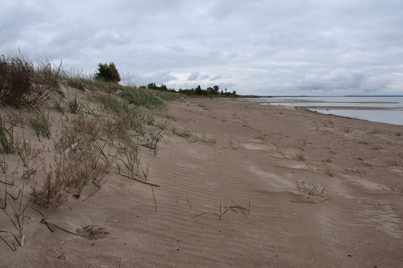 Окрестности Кленно, image of landscape/habitat.